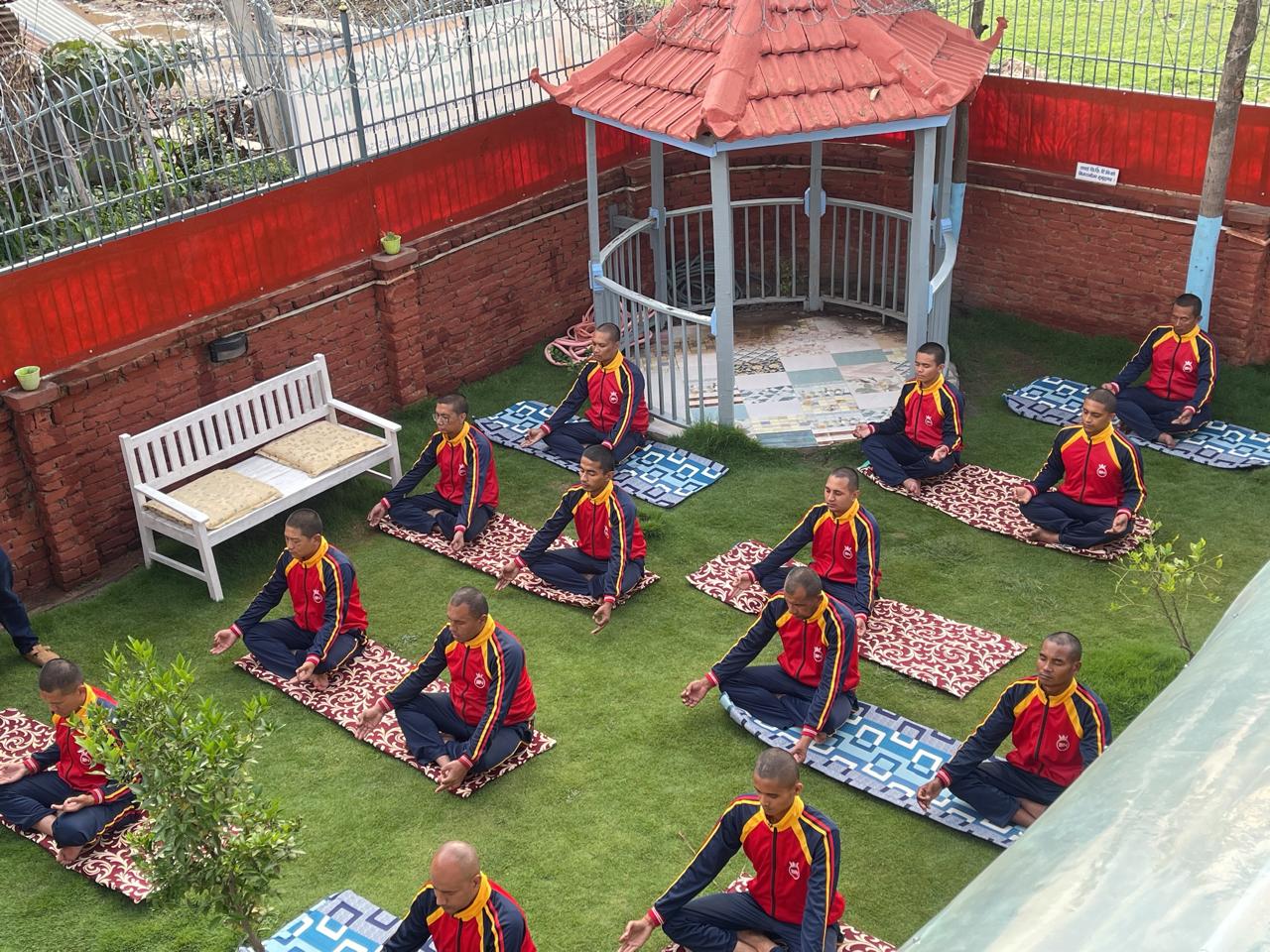 Therapeutic Activities